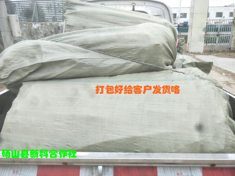 砀山黄桃苗83、19.甜食黄桃苗现挖现卖死苗补发提供技术