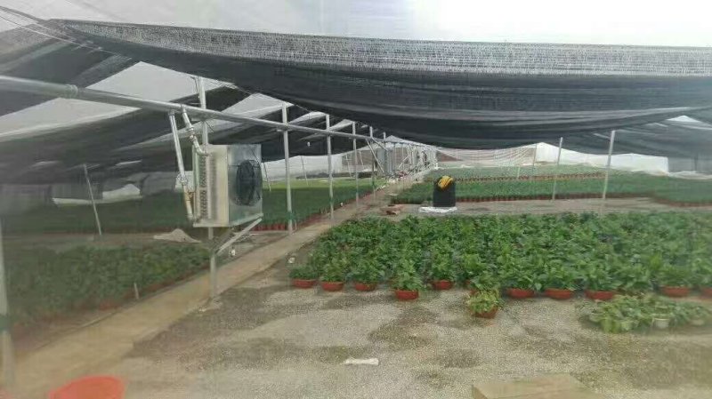 温室水暖风机，温室暖风机，增温设备