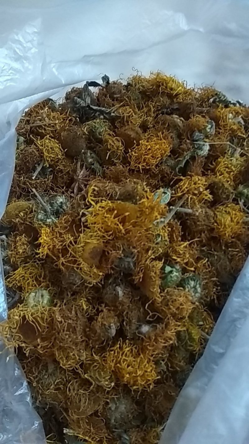 高山旋覆花，无硫无污染，颜色好