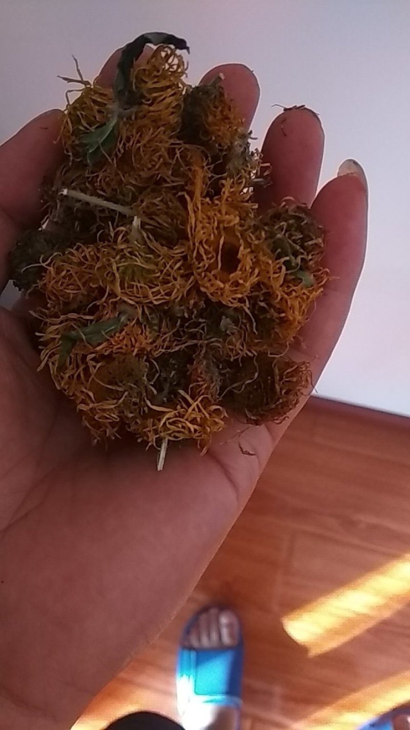 高山旋覆花，无硫无污染，颜色好