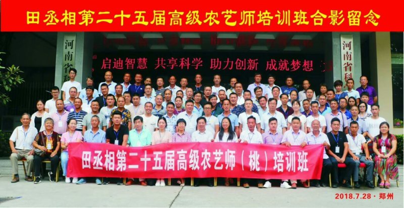 占地桃树、品种桃树3-5公分桃树
