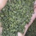 中花吴茱萸苗茶辣苗米腊子江西吴茱萸苗湖北米辣苗广西吴茱萸