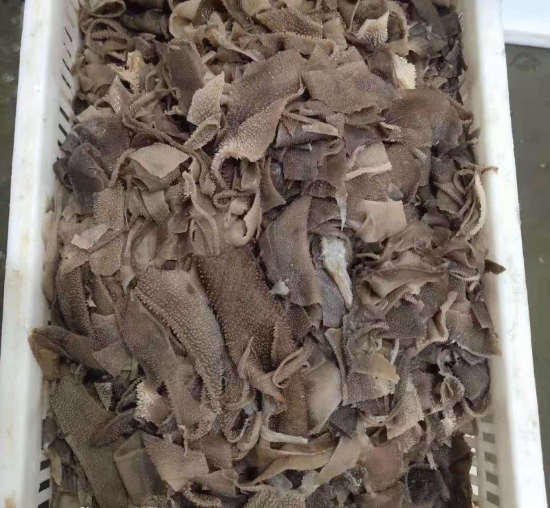 毛肚碎叶片（长期大量供应品质如图）毛肚碎叶片（长期大量供
