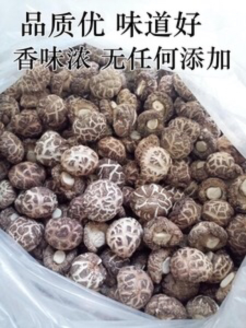 精品手选干货香菇3．0规格