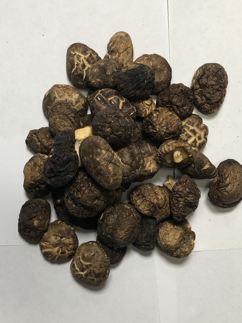 精品手选干货香菇3．0规格