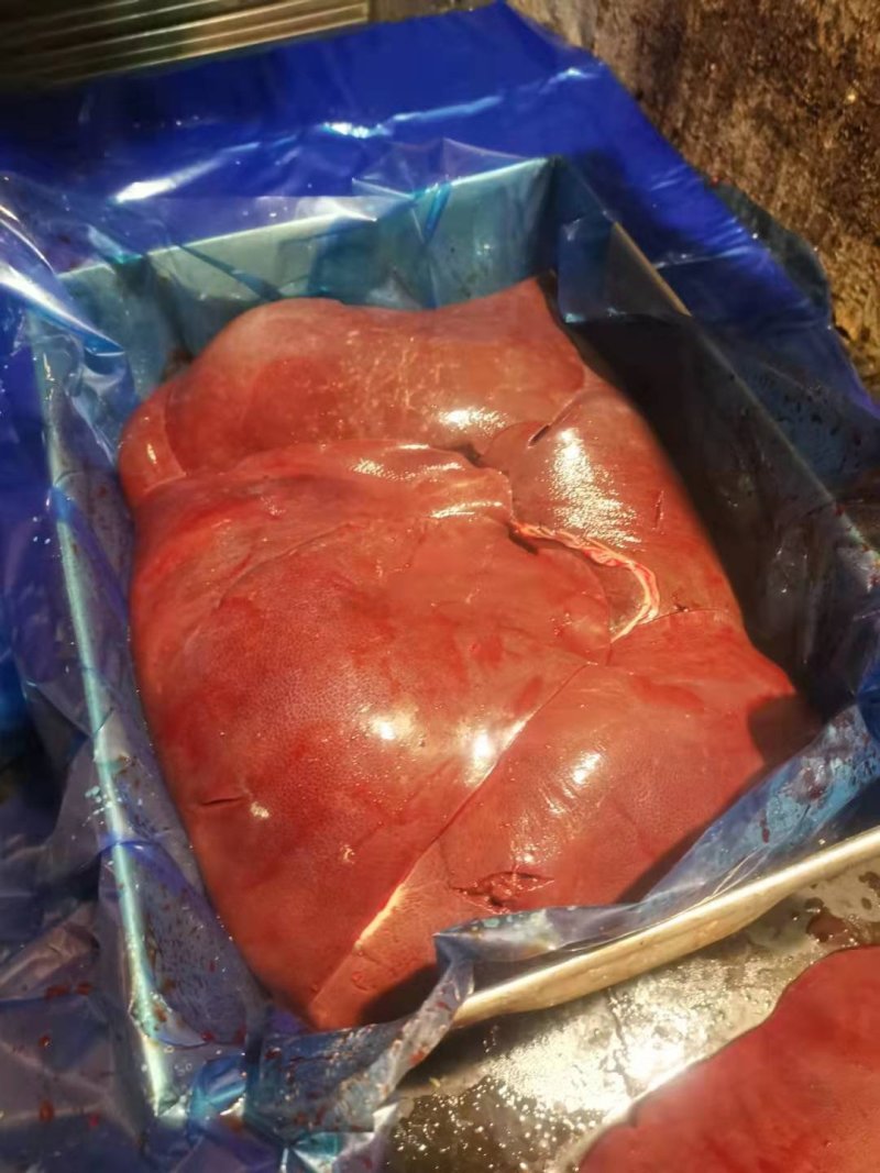国产肥膘猪肝，标猪肝，鲜猪肝