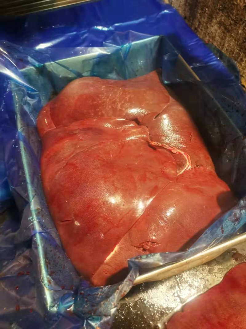 国产肥膘猪肝，标猪肝，鲜猪肝