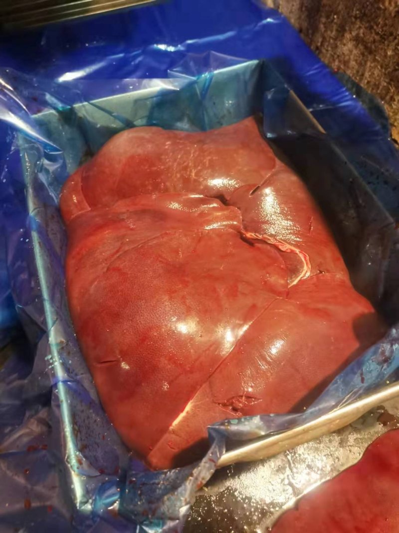 国产肥膘猪肝，标猪肝，鲜猪肝