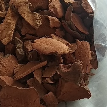 野生土茯苓，红色白色都有