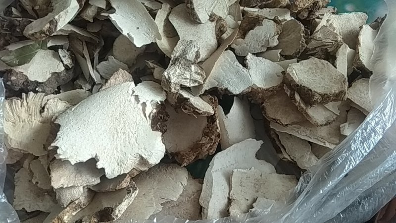 野生土茯苓，红色白色都有