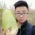 绿翡翠绿玉青萝卜种子皮色翠绿生长速度快品质好产量高