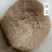供应稻壳稻壳粉饲料用稻壳粉栽培基质稻壳粉量大慧