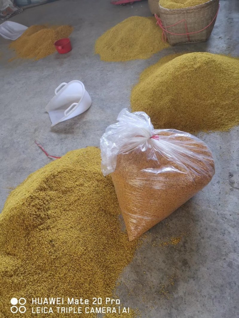 干桂花，有无硫花，自己加工，一手货源价格优惠
