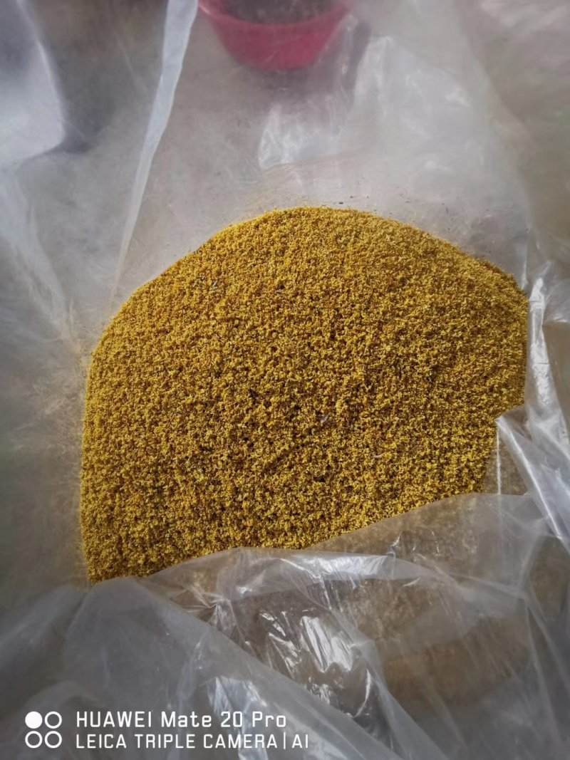 干桂花，有无硫花，自己加工，一手货源价格优惠