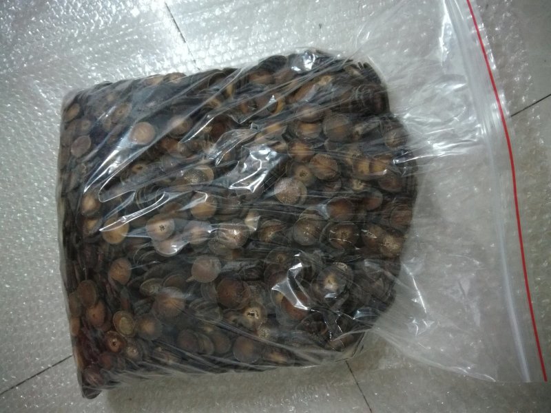 五年陈的正毛化橘红片，假一赔十