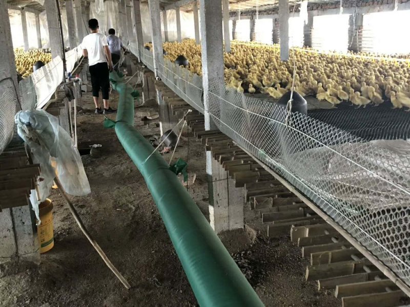 厂房电暖风机，养殖暖风机，温室暖风机