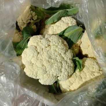 精品大棚青梗白面有机花菜