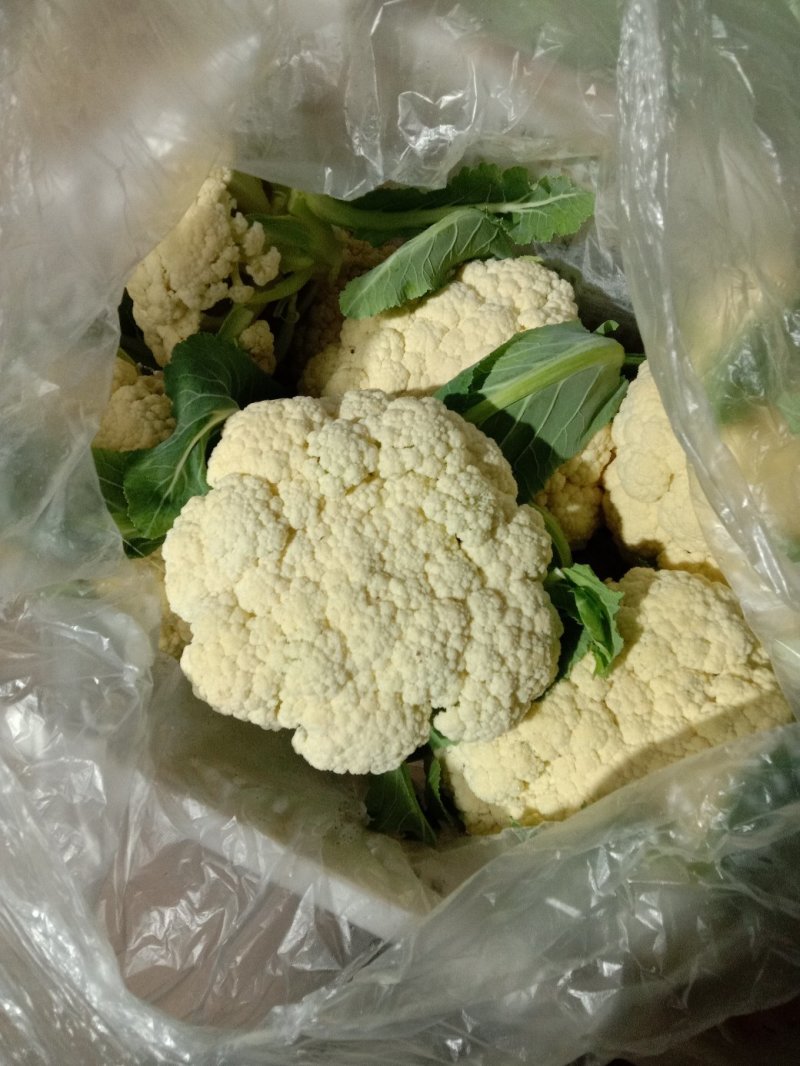 精品大棚青梗白面有机花菜