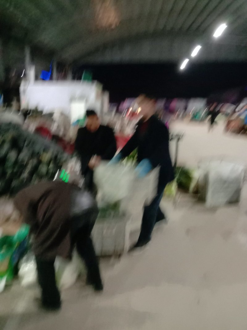 精品大棚青梗白面有机花菜