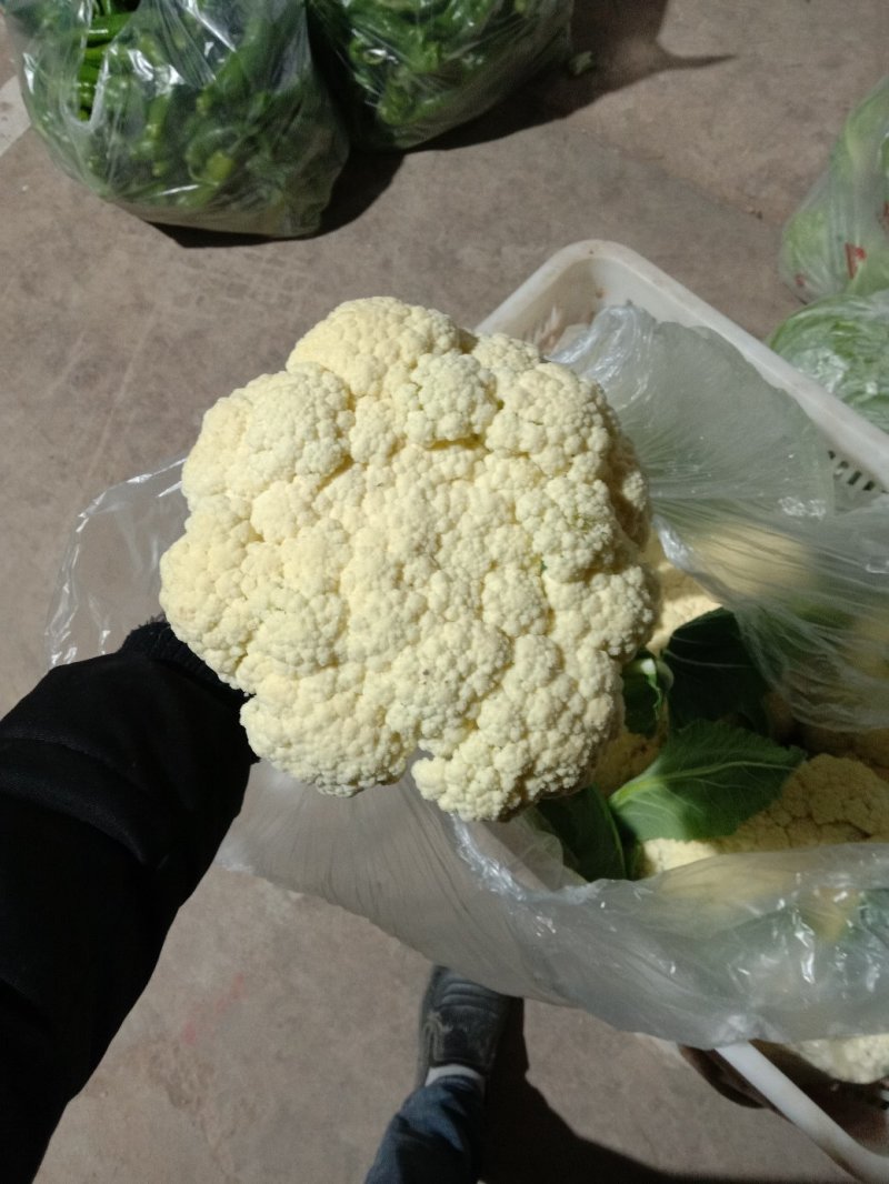 精品大棚青梗白面有机花菜