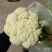 精品大棚青梗白面有机花菜