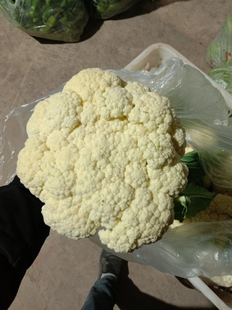 精品大棚青梗白面有机花菜