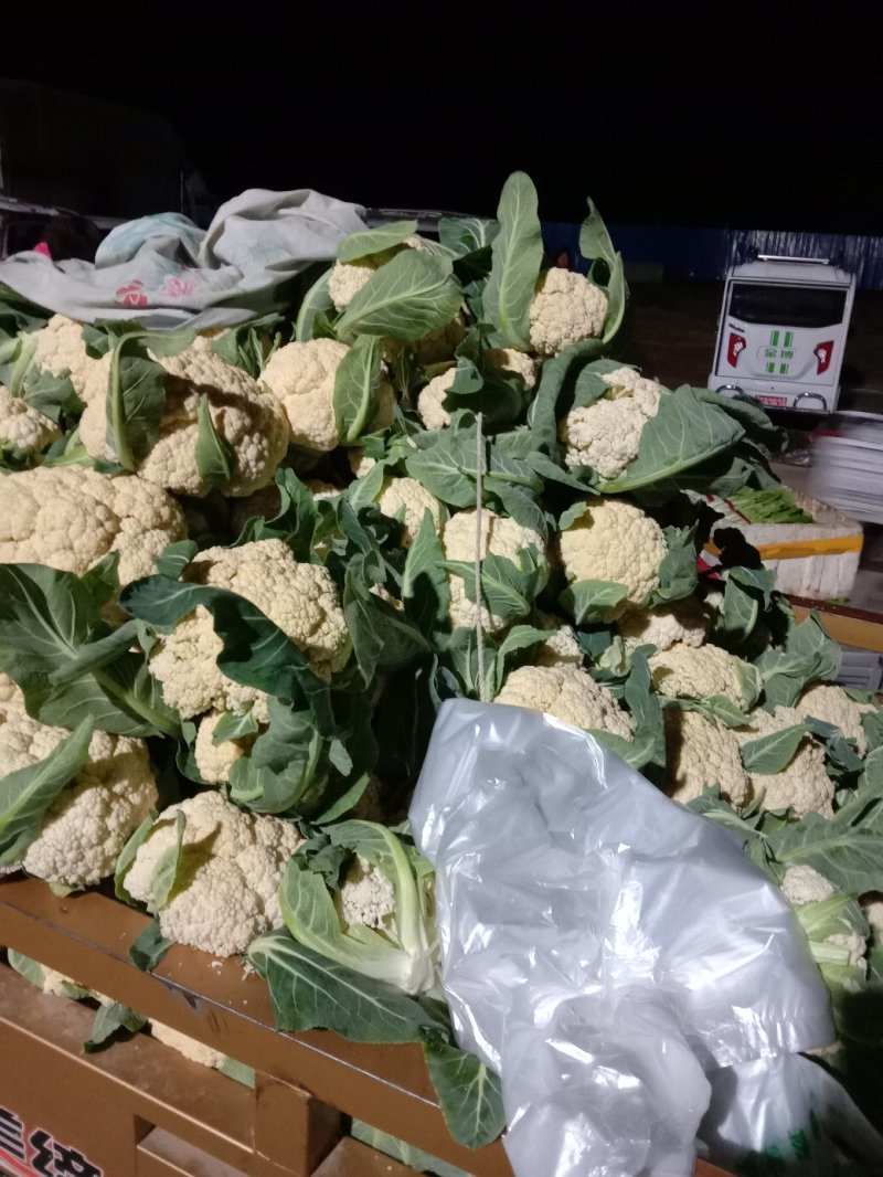 精品大棚青梗白面有机花菜
