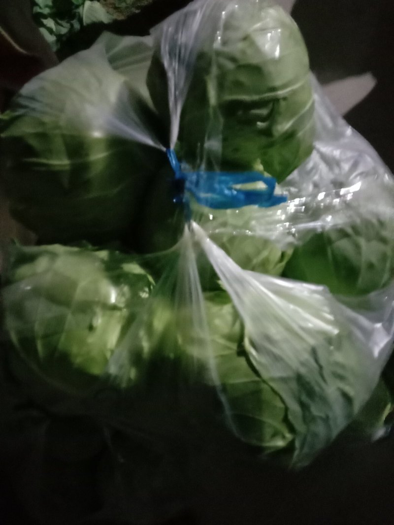 包菜