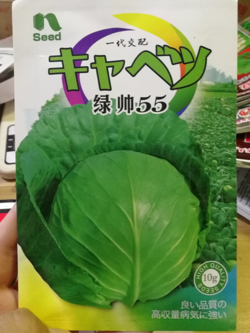 【精选】东京的春甘蓝种子超抗病耐抽苔深绿球形美观