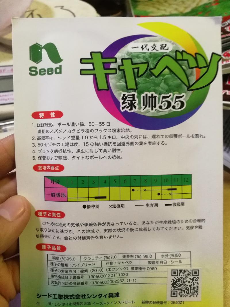 【精选】东京的春甘蓝种子超抗病耐抽苔深绿球形美观