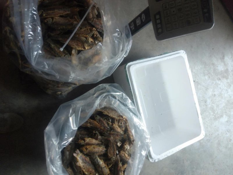 鲫鱼，油炸小鲫鱼，干净卫生。