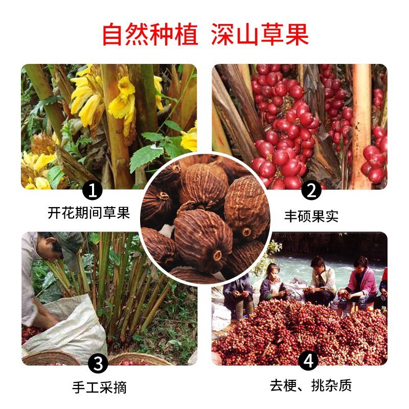 草果云南正品优质草果无硫无添加净货产地直销量大从优