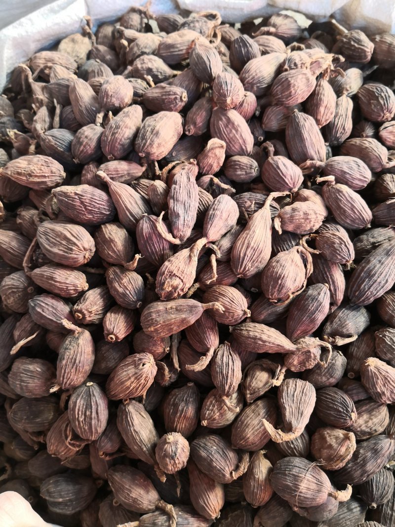 草果云南正品优质草果无硫无添加净货产地直销量大从优