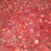新鲜速冻草莓绿色食品主供饮料厂出口欧洲品质