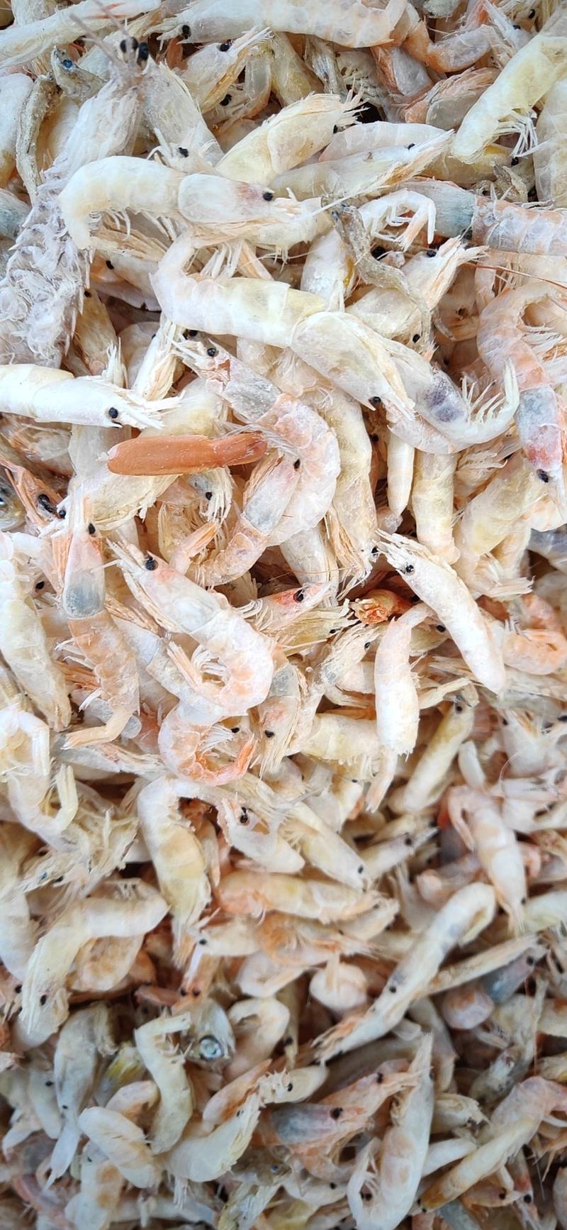 烘干淡干麦秆虾，蹦蹦虾，调料小虾，供油炸虾原料