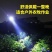 五头头灯强光打猎可充电式夜钓鱼灯远射超亮头戴式LED矿灯