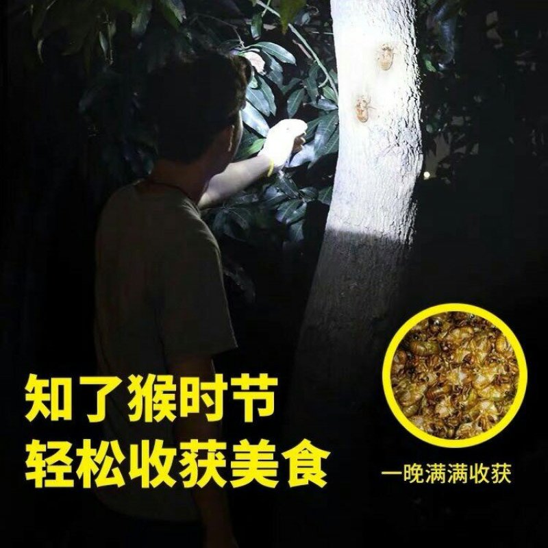 五头头灯强光打猎可充电式夜钓鱼灯远射超亮头戴式LED矿灯