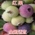 红果蓝莓苗全国适应南北方种植蓝莓树苗盆栽地栽蓝莓苗果树苗