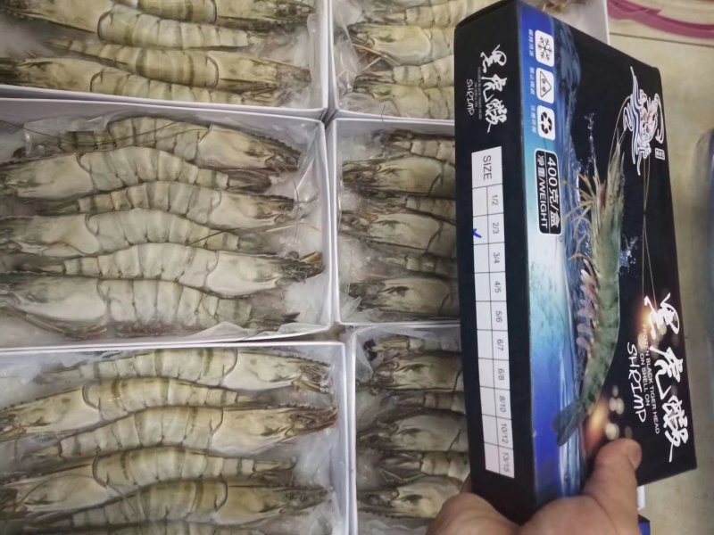 越南野生黑虎虾，超级大条