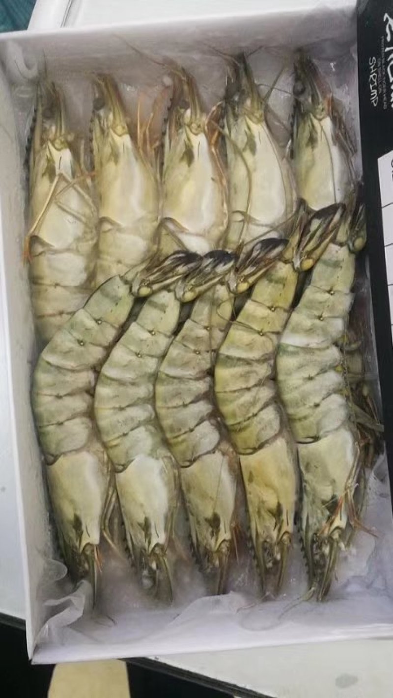 草虾