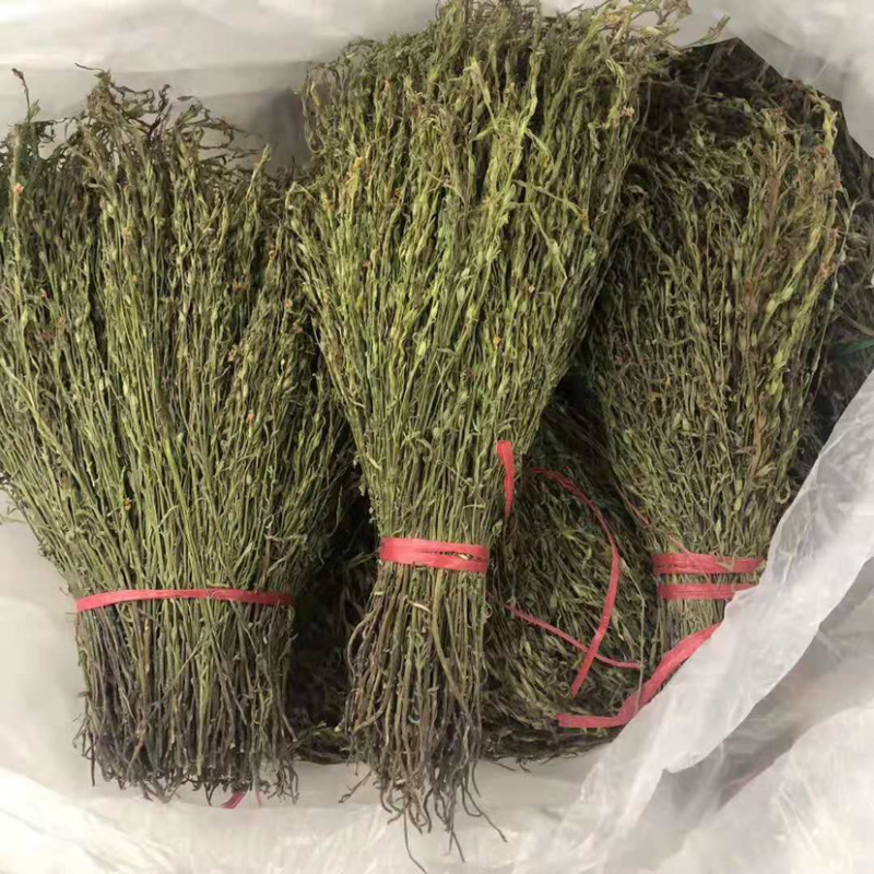 青绿独脚金20公分左右农户自采人工挑选一手货款