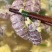 渤海弯爬虾肉皮皮虾肉虾爬子赖尿虾琵琶虾包饺子肉