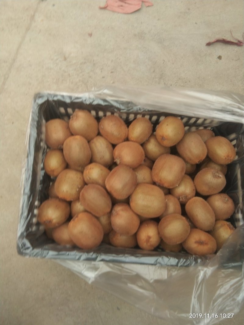 秦美徐香亚特海沃德秦美翠香华优西选一号金福，对接各大客商