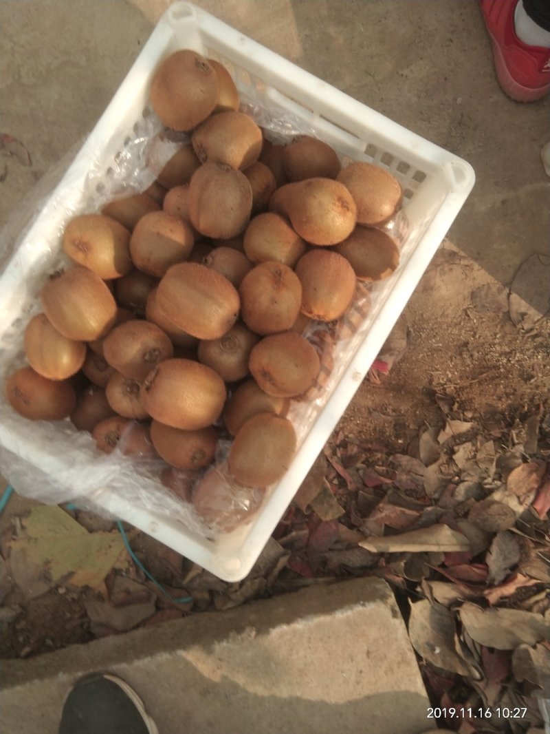 秦美徐香亚特海沃德秦美翠香华优西选一号金福，对接各大客商