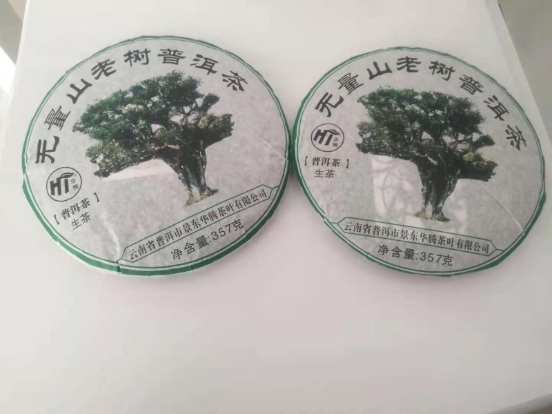 生态普洱景东无量古树茶