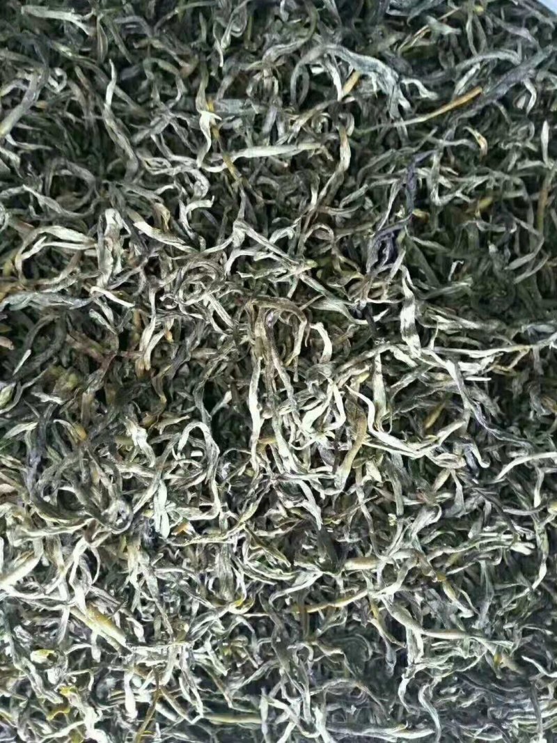 生态普洱景东无量古树茶