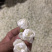 飘雪