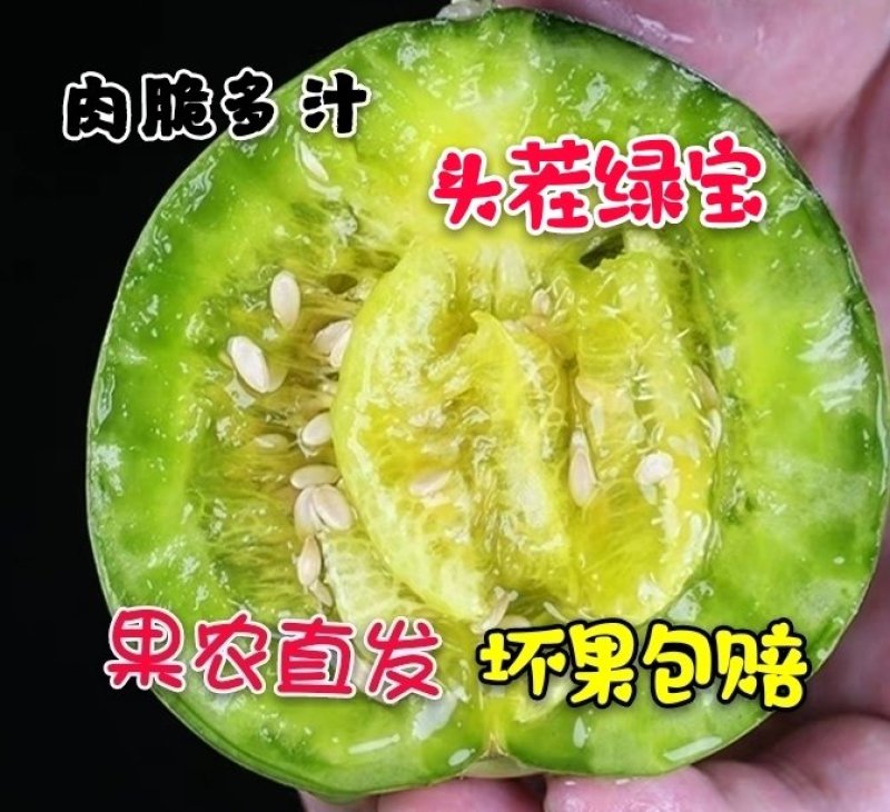 绿宝甜瓜大量上市！支持一件代发对接各大平台！