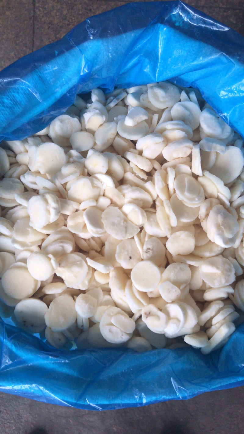 马蹄片