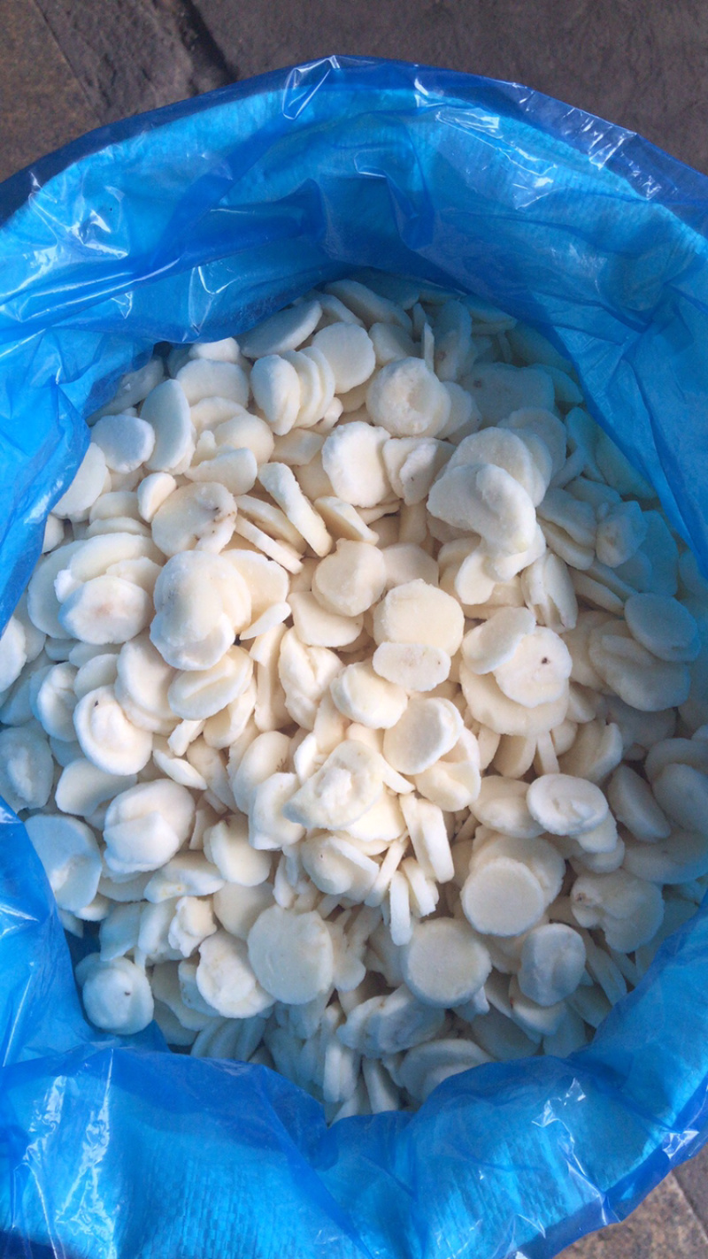 马蹄片